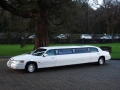 lincoln_limousine_gal_1