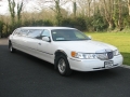 lincoln_limousine_gal_4